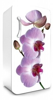 Fototapeta na lednici Orchid 65 x 120 cm FR120-024