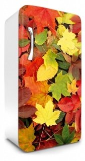 Fototapeta na lednici Colorful Leaves 65 x 120 cm FR120-025
