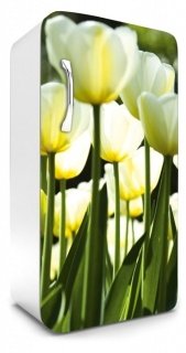Fototapeta na lednici White Tulips 65 x 120 cm FR120-026
