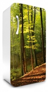 Fototapeta na lednici Forest 65 x 120 cm FR120-028