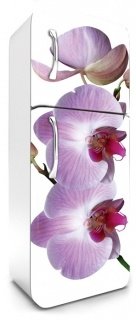 Fototapeta na lednici Orchid 65 x 180 cm FR180-024