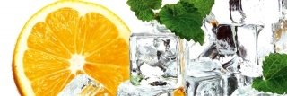 Fototapeta na linku Lemon and Ice 180 x 60 cm KI180-023