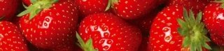 Fototapeta na linku Strawberry 260 x 60 cm KI260-025