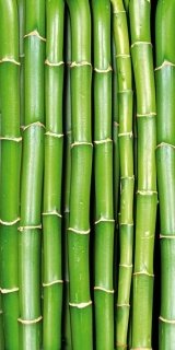 Fototapety na podlahu Dimex Bamboo FL85-020 85x170 cm