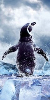 Fototapety na podlahu Dimex Penguin FL85-021 85x170 cm