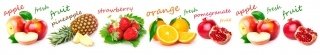 Fototapeta za linku KI350-022 Fruit Mix 350 x 60 cm