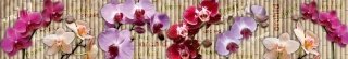 Fototapeta za linku KI350-026 Orchid 350 x 60 cm