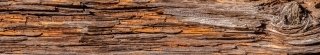 Fototapeta za linku KI350-062 Tree Bark 350 x 60 cm