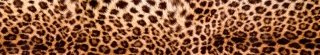 Fototapeta za linku KI350-069 Leopardl 350 x 60 cm