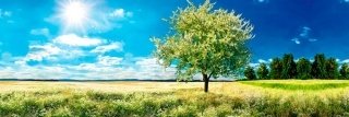 Fototapeta do kuchyně KI180-085 Tree 180 x 60 cm