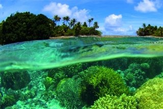 Fototapeta Coral Reef 150 x 100 cm