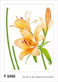 Samolepicí dekorace Lilie F 0450 - 65 x 85 cm