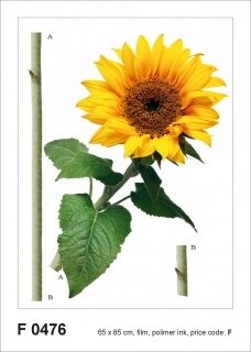 Samolepicí dekorace Slunečnice F 0476 - 65 x 85 cm