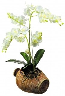 Samolepicí dekorace Orchidej SM 3430 - 65 x 42,5 cm