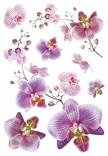 Samolepicí dekorace Orchidej SM 3440 - 65 x 42,5 cm