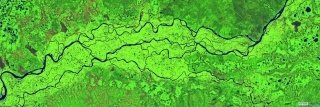 Vliesová fototapeta Green 300 x 100 cm