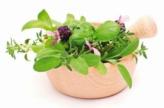 Obraz na skle Herbs 45 x 30 cm GL-45-017