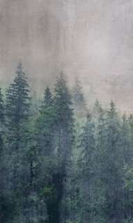 DIMEX vliesová fototapeta Forest Abstract 150 x 250 cm MS-2-0353