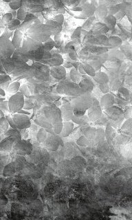 DIMEX vliesová fototapeta 150 x 250 cm MS-2-0355