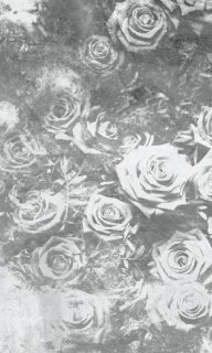 DIMEX vliesová fototapeta 150 x 250 cm MS-2-0378