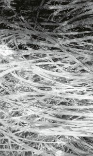 DIMEX vliesová fototapeta 150 x 250 cm MS-2-0382