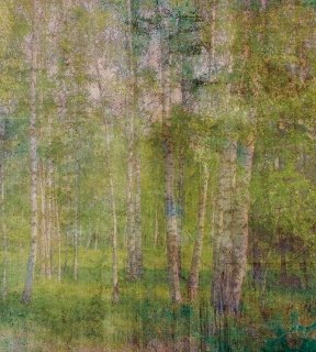 DIMEX vliesová fototapeta 225 x 250 cm MS-3-0351