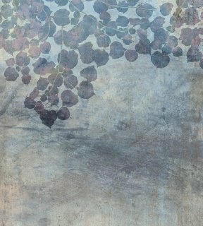DIMEX vliesová fototapeta 225 x 250 cm MS-3-0367