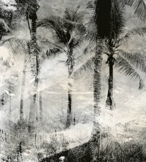 DIMEX vliesová fototapeta 225 x 250 cm MS-3-0374