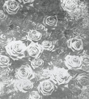 DIMEX vliesová fototapeta 225 x 250 cm MS-3-0378