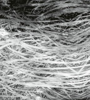 DIMEX vliesová fototapeta 225 x 250 cm MS-3-0382