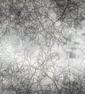 DIMEX vliesová fototapeta 225 x 250 cm MS-3-0386