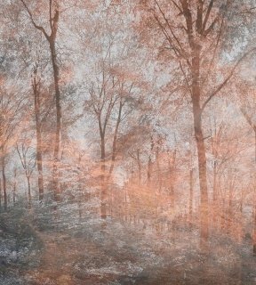 DIMEX vliesová fototapeta 225 x 250 cm MS-3-0390