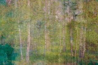 DIMEX vliesová fototapeta 375 x 250 cm MS-5-0351