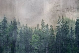 DIMEX vliesová fototapeta 375 x 250 cm MS-5-0353