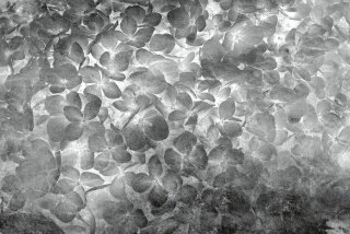 DIMEX vliesová fototapeta 375 x 250 cm MS-5-0355