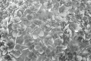DIMEX vliesová fototapeta 375 x 250 cm MS-5-0356