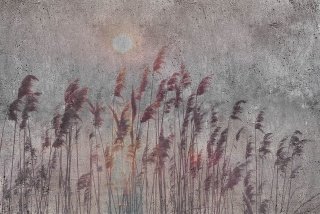 DIMEX vliesová fototapeta 375 x 250 cm MS-5-0358