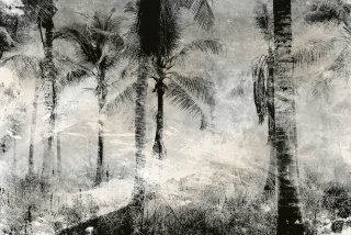 DIMEX vliesová fototapeta 375 x 250 cm MS-5-0374