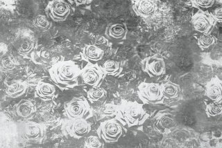 DIMEX vliesová fototapeta 375 x 250 cm MS-5-0378