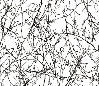 Tapety na zeď WP-021-01 Dimex Line 0,75 x 10 m