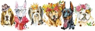Fototapeta do kuchyně KI180-110 Dogs 180 x 60 cm