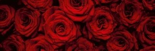 Fototapeta do kuchyně KI180-132 Red Roses 180 x 60 cm