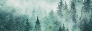 Fototapeta do kuchyně KI180-140 Fog in the Forest 180 x 60 cm