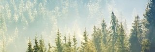 Fototapeta do kuchyně KI180-141 Woods 180 x 60 cm
