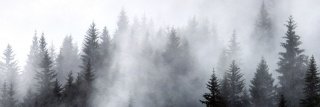 Fototapeta do kuchyně KI180-143 Dark Forest 180 x 60 cm