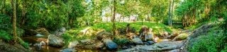 Fototapeta do kuchyně KI260-134 Botanic Garden 260 x 60 cm