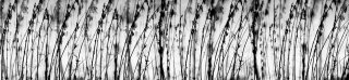 Fototapeta do kuchyně KI260-137 Grey 260 x 60 cm