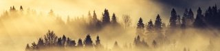 Fototapeta do kuchyně KI260-142 Fog 260 x 60 cm