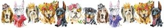 Fototapeta za linku KI350-110 Dogs 350 x 60 cm