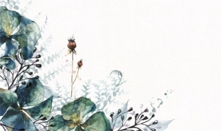 Vliesová fototapeta s laminací Příroda 137,5 x 81 cm